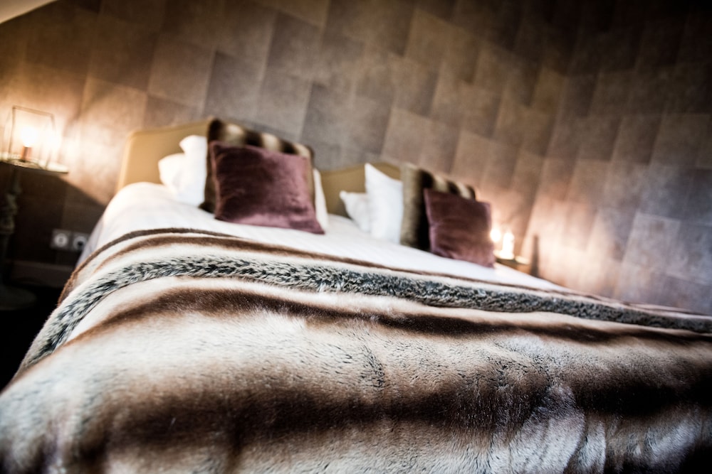 Imagen de la habitación del Hotel Domaine De Barive. Foto 5