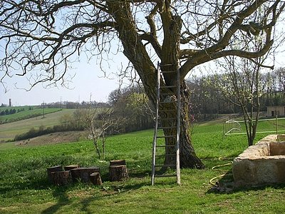 Imagen de los exteriores del Hotel Domaine De Baulieu. Foto 4