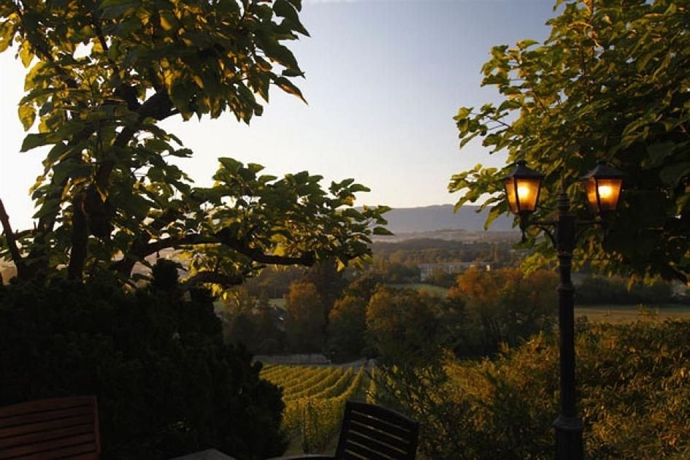 Imagen de los exteriores del Hotel Domaine De Chateauvieux. Foto 7