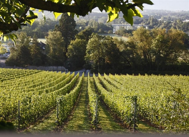 Imagen de los exteriores del Hotel Domaine De Chateauvieux. Foto 9