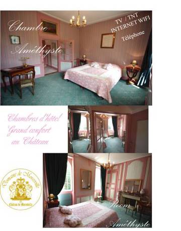 Imagen general del Hotel Domaine De Moresville. Foto 2