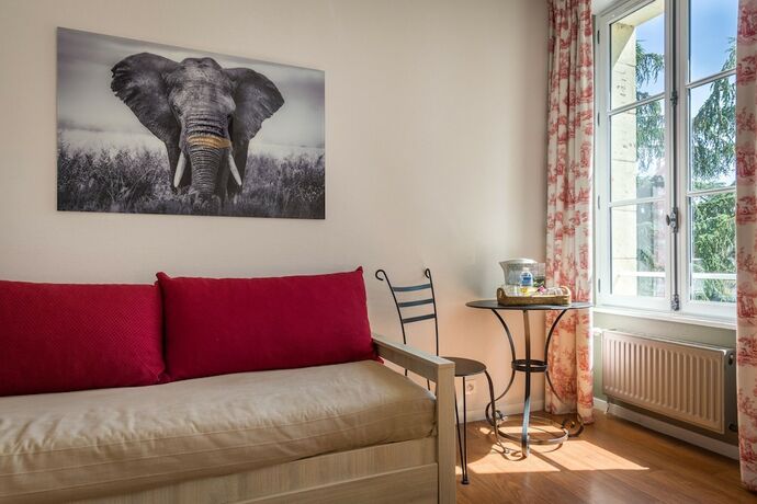 Imagen general del Hotel Domaine De Roiffé. Foto 11