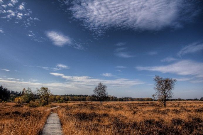 Imagen de los interiores del Hotel Domaine Des Hautes Fagnes. Foto 13