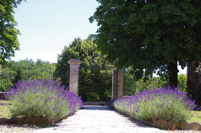 Imagen de los exteriores del Hotel Domaine Du Châtelard. Foto 9