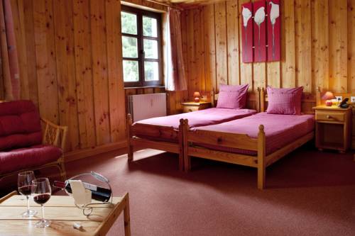 Imagen de la habitación del Hotel Domaine Du Moulin D'asselborn. Foto 5