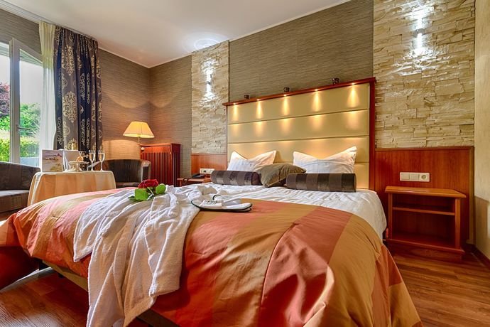 Imagen de la habitación del Hotel Domaine La Forêt. Foto 5