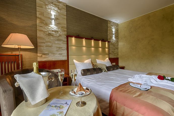 Imagen de la habitación del Hotel Domaine La Forêt. Foto 8