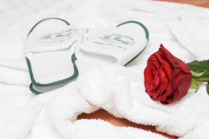 Imagen de la habitación del Hotel Domaine La Forêt. Foto 9