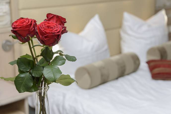 Imagen de la habitación del Hotel Domaine La Forêt. Foto 13