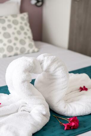 Imagen general del Hotel Domaine Mélusine - à 2minutes du PuyduFou !. Foto 3