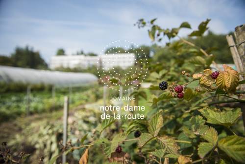 Imagen de la habitación del Hotel Domaine Ndr. Foto 2