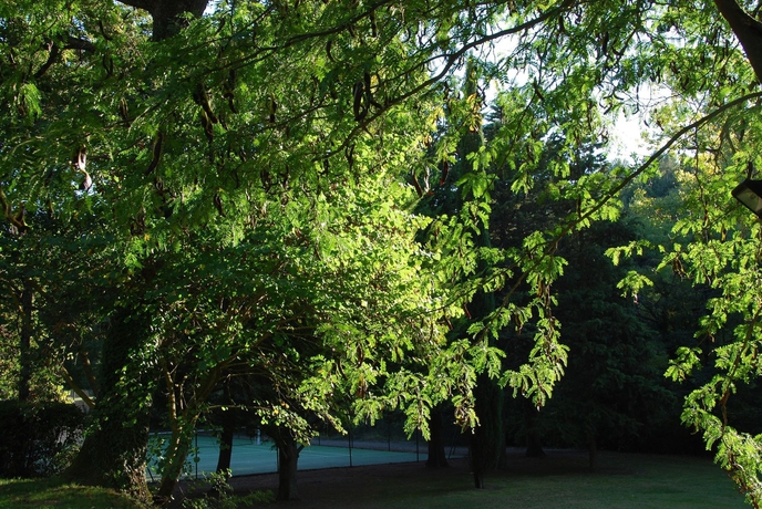 Imagen de los exteriores del Hotel Domaine d'Auriac - Relais & Châteaux. Foto 13