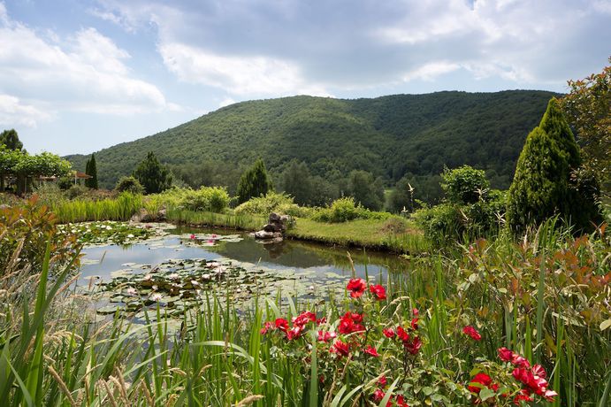 Imagen de la habitación del Hotel Domaine de Falgos Golf and Spa. Foto 7