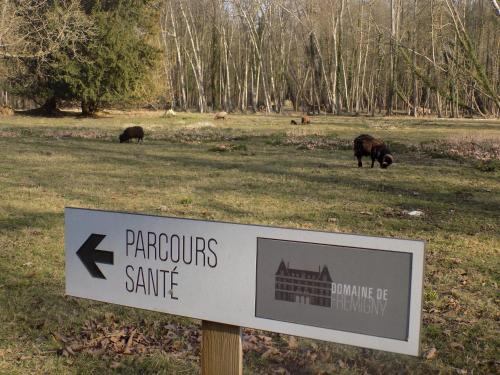 Imagen general del Hotel Domaine de Frémigny. Foto 6