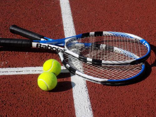 Imagen general del Hotel Domaine de Frémigny. Foto 8