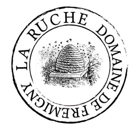 Imagen general del Hotel Domaine de Frémigny. Foto 9