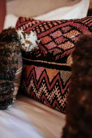 Imagen general del Hotel Domaine de Tameslohte. Foto 8