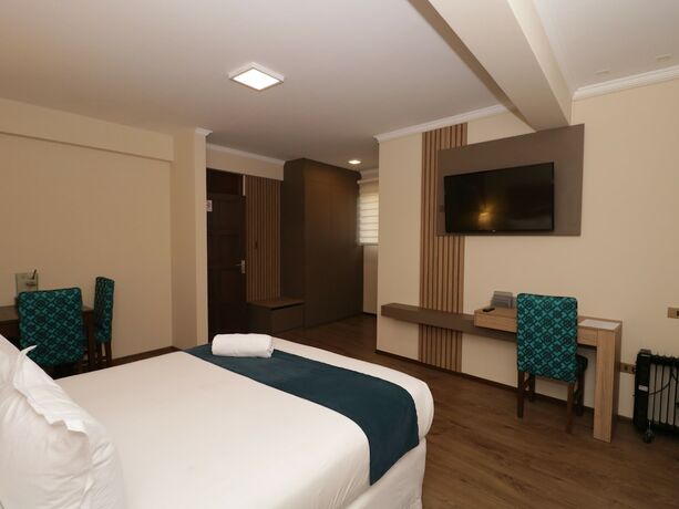 Imagen de la habitación del Hotel Domani Boutique. Foto 14