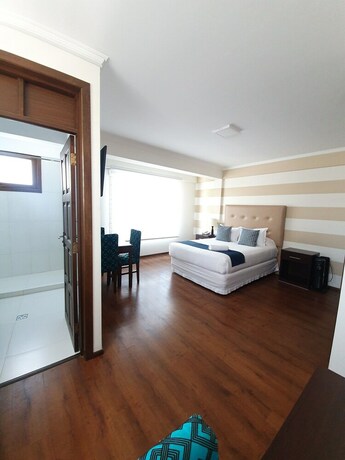 Imagen de la habitación del Hotel Domani Boutique. Foto 20