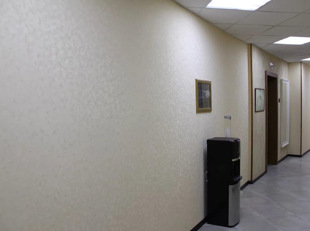 Imagen de los interiores del Hotel Domashnyaya Gostinitsa Podushka. Foto 14