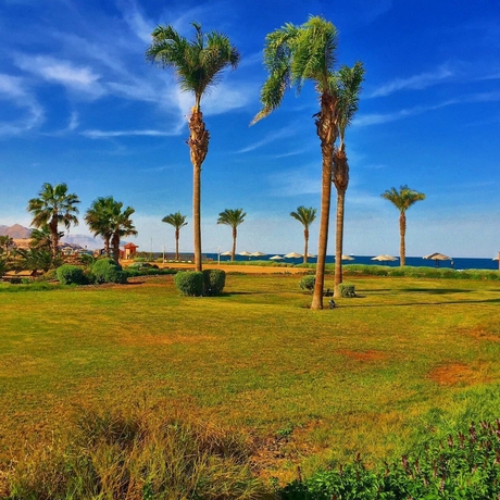 Imagen de los interiores del Hotel Dome Marina and Resort. Foto 14