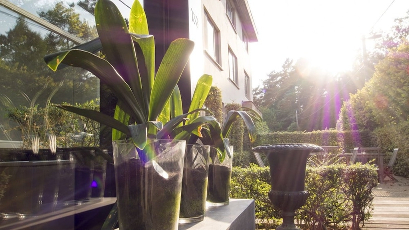 Imagen general del Hotel Domein Martinus. Foto 3