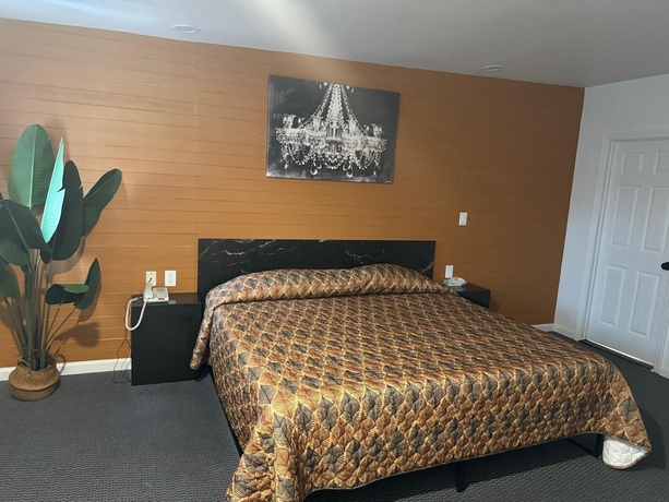 Imagen de la habitación del Hotel Domino Motel. Foto 5
