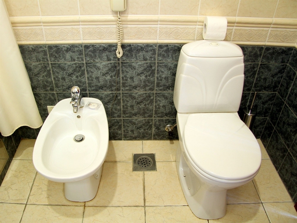 Imagen de la habitación del Hotel Domodedovo Airhotel. Foto 6