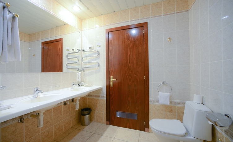 Imagen de la habitación del Hotel Domodedovo Airhotel. Foto 9