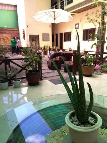 Imagen general del Hotel Domon. Foto 7