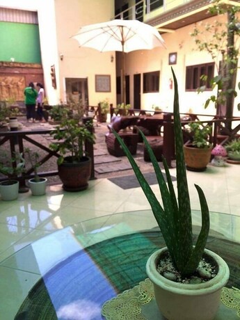 Imagen de los interiores del Hotel Domon. Foto 23