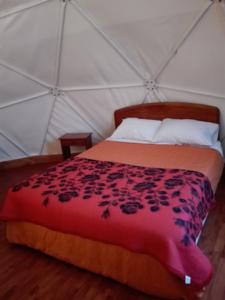 Imagen de la habitación del Hotel Domos Totoralillo. Foto 3