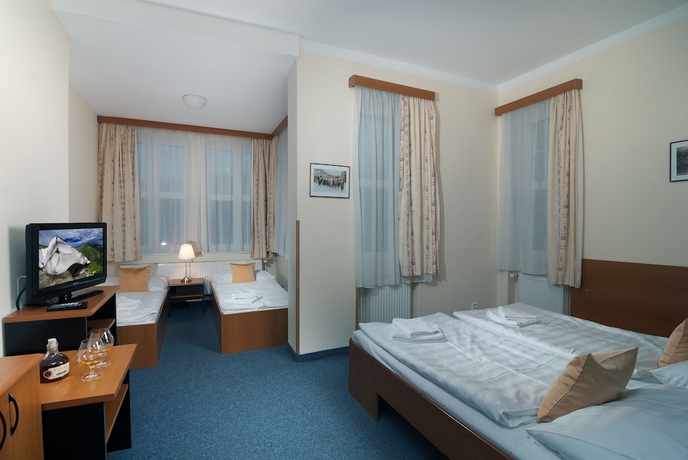 Imagen de la habitación del Hotel Domovina. Foto 7