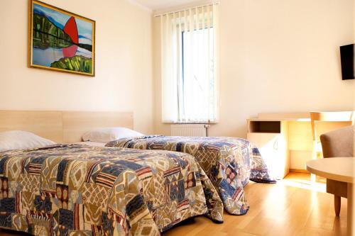 Imagen general del Hotel Domus, Bir&scaron;tonas. Foto 4