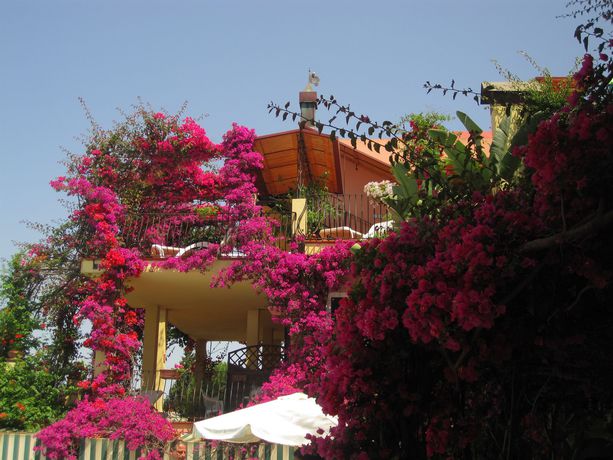 Imagen de la piscina del Hotel Domus De Janas Sul Mare. Foto 15