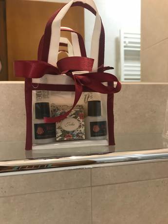 Imagen de la habitación del Hotel Domus Grand Hotel. Foto 6