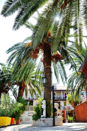 Imagen de los exteriores del Hotel Domus Maritima. Foto 13