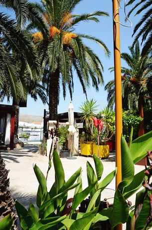 Imagen de los exteriores del Hotel Domus Maritima. Foto 14