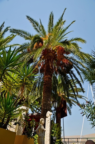 Imagen de los exteriores del Hotel Domus Maritima. Foto 15