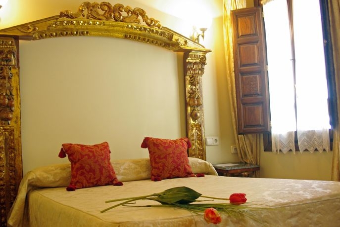 Imagen general del Hotel Domus Selecta Alc&aacute;zar. Foto 2