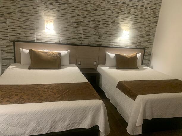 Imagen de la habitación del Hotel Don Carlos, Morelia. Foto 20