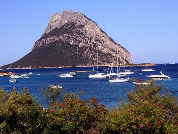 Imagen general del Hotel Don Diego, Olbia. Foto 2