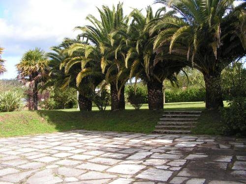 Imagen general del Hotel Don. Foto 5