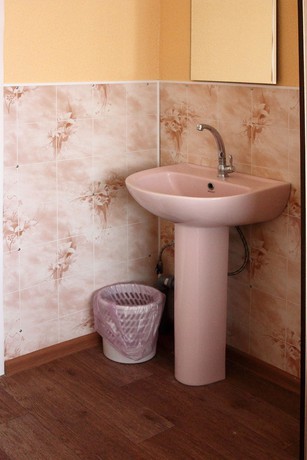 Imagen de la habitación del Hotel Don, Pavlovsk. Foto 7