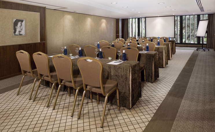 Imagen de los interiores del Hotel Don Pepe Gran Meliá. Foto 20