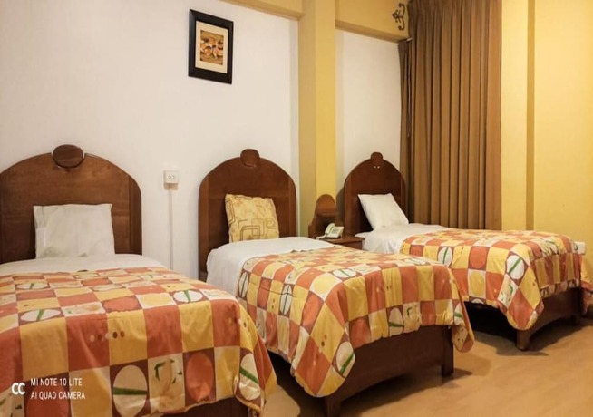 Imagen de la habitación del Hotel Don Sam. Foto 2