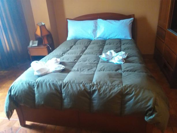 Imagen de la habitación del Hotel Don Sam. Foto 4