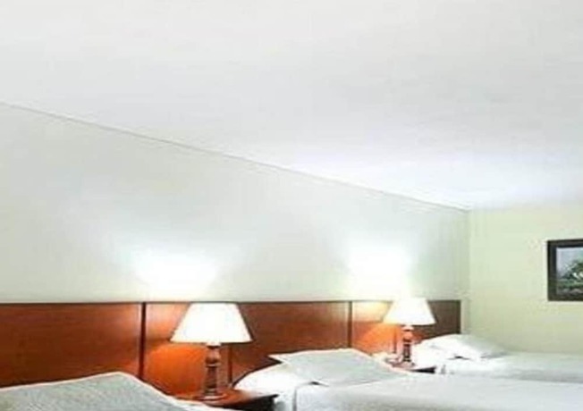 Imagen de la habitación del Hotel Don Sam. Foto 11