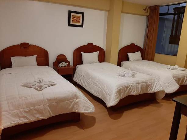 Imagen de la habitación del Hotel Don Sam. Foto 14