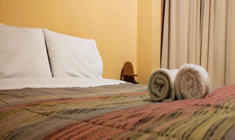 Imagen de la habitación del Hotel Don Sam. Foto 20